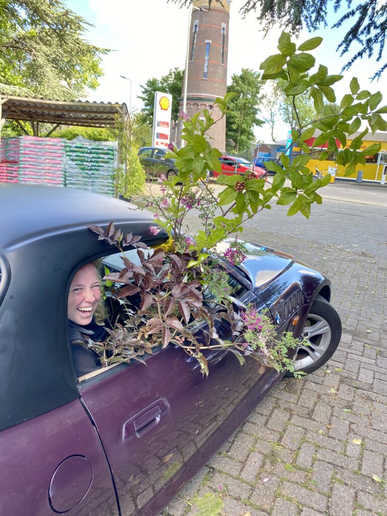 Car with lots of plants