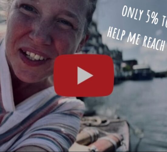 Vivienne Indiegogo Campaign