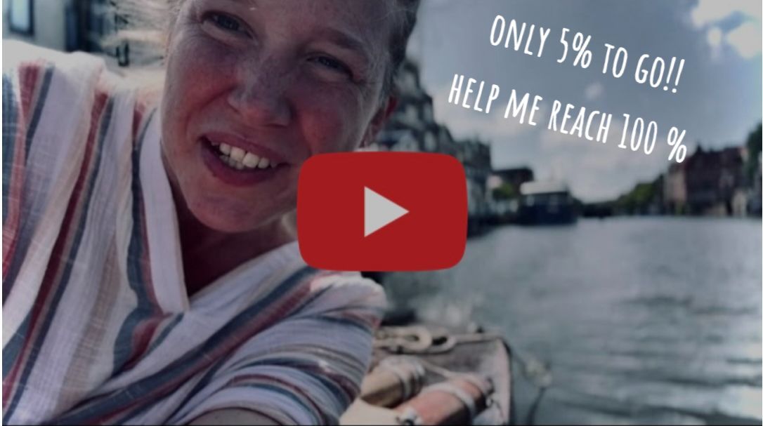 Vivienne Indiegogo Campaign